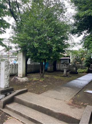 細戈神社の参拝記録(⛩️🐍🐢まめ🐢🐍⛩️さん)
