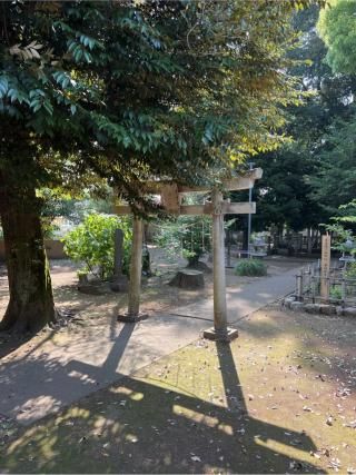 山神社の参拝記録(⛩️🐍🐢まめ🐢🐍⛩️さん)