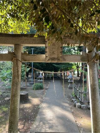 山神社の参拝記録(⛩️🐍🐢まめ🐢🐍⛩️さん)