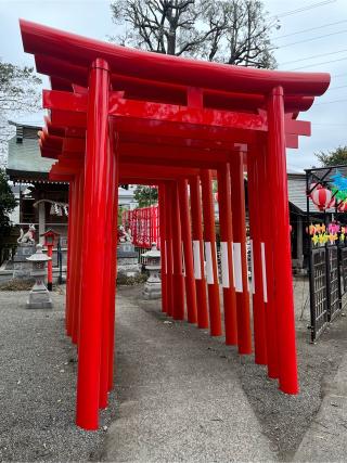 福徳稲荷神社（氷川神社末社）の参拝記録(千葉犬🐶さん)
