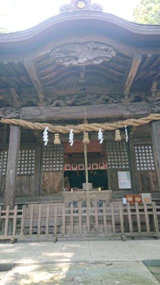 中野神社の参拝記録(sshimiさん)