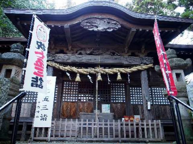 中野神社の参拝記録(namimushiさん)