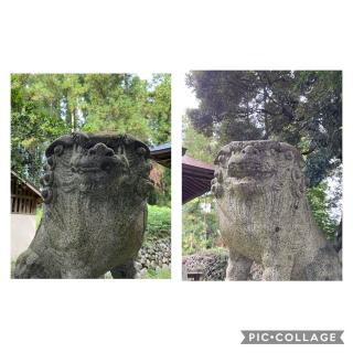 三島神社の参拝記録(mocaさん)