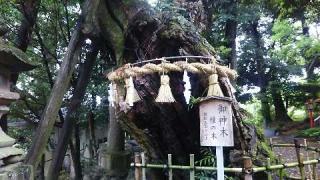 川尻八幡宮の参拝記録(miyumikoさん)