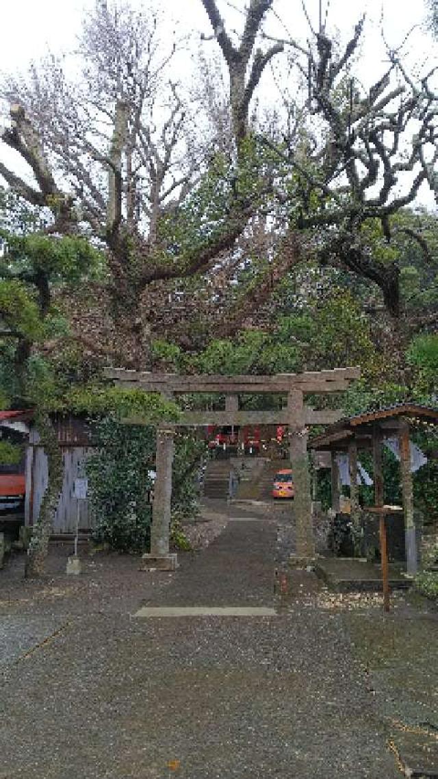 神奈川県三浦市三崎町小網代1793 白髭神社の写真2