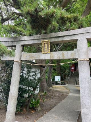 白髭神社の参拝記録(⛩️🎠🐢まめ🐢🎠⛩️さん)