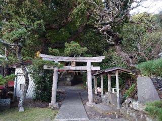 白髭神社の参拝記録(バクちんさん)