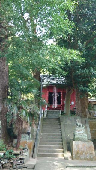 白髭神社の参拝記録(Daisy ♂さん)