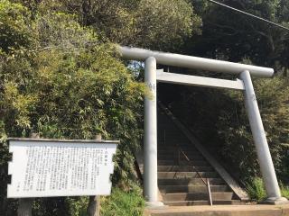 白旗神社（三浦市初声町）の参拝記録(千葉犬🐶さん)