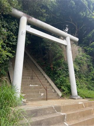 白旗神社（三浦市初声町）の参拝記録(⛩️🐍🐢まめ🐢🐍⛩️さん)