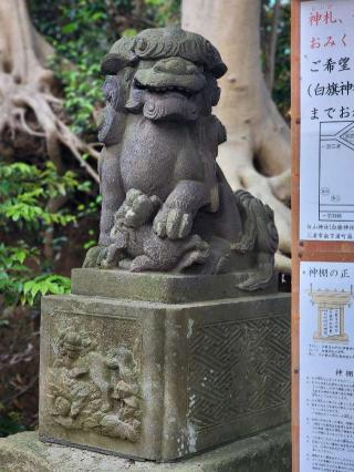 白旗神社（三浦市初声町）の参拝記録(たけちゃ～ん⚾さん)