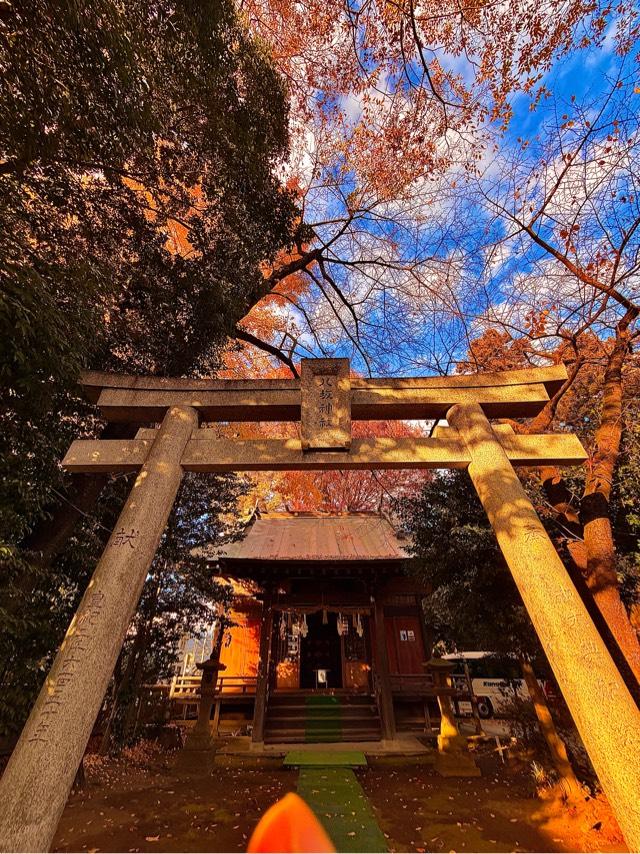 八坂神社の参拝記録4