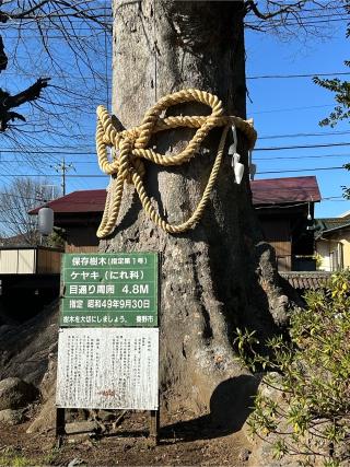 八坂神社の参拝記録(skさん)