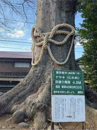 八坂神社の参拝記録(⛩️🐍🐢まめ🐢🐍⛩️さん)