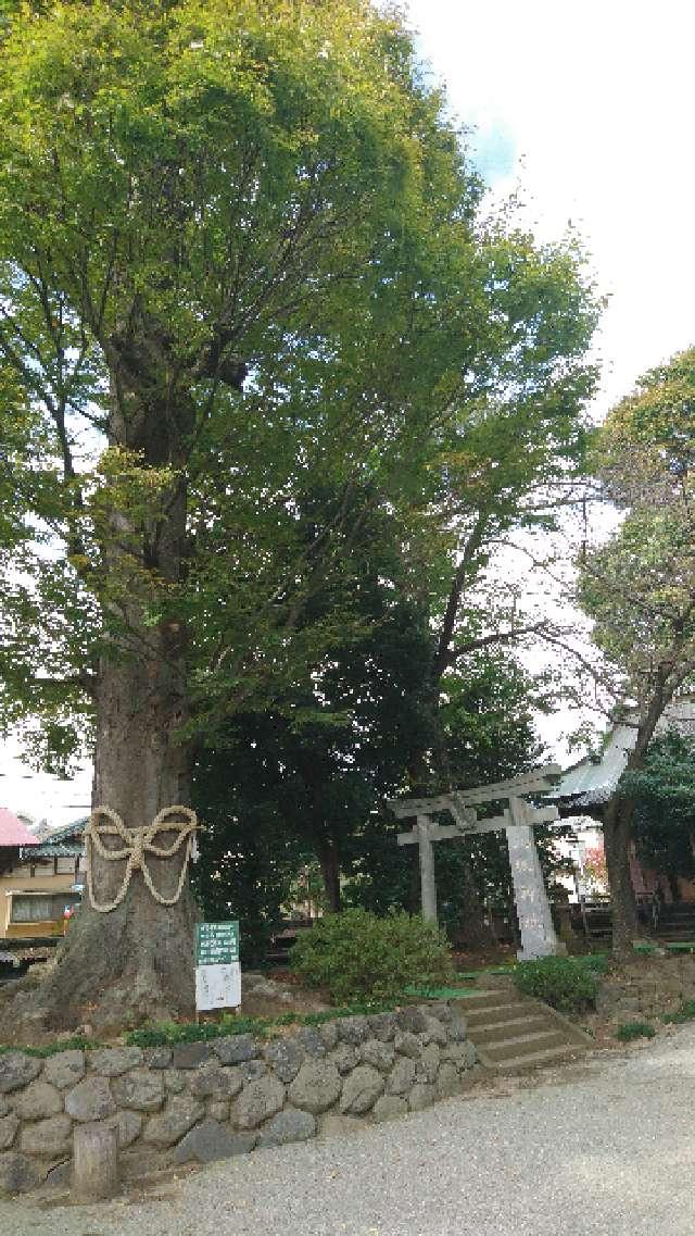 八坂神社の参拝記録10