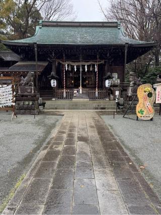 曾屋神社の参拝記録(こーちんさん)