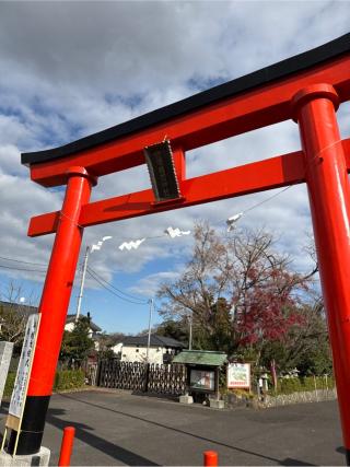 白笹稲荷神社の参拝記録(⛩️🐍🐢まめ🐢🐍⛩️さん)