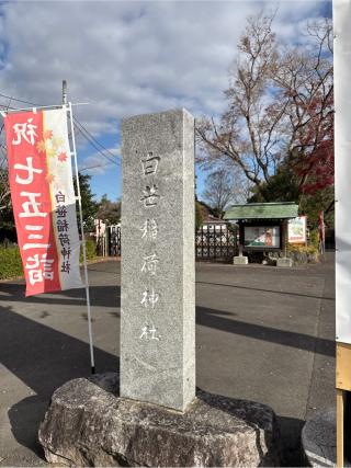 白笹稲荷神社の参拝記録(⛩️🐍🐢まめ🐢🐍⛩️さん)