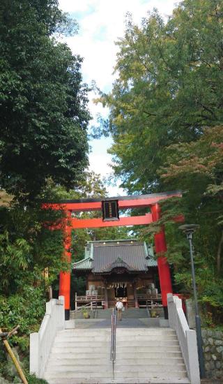 白笹稲荷神社の参拝記録(Daisy ♂さん)