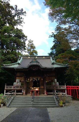 白笹稲荷神社の参拝記録(Daisy ♂さん)