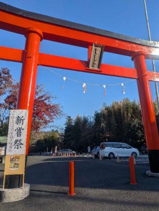 白笹稲荷神社の参拝記録(はくすみさん)