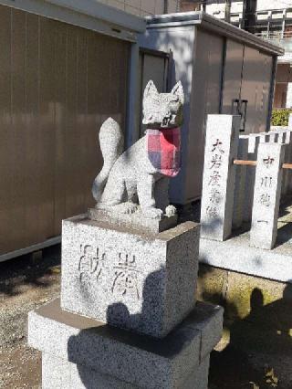 厚木稲荷神社の参拝記録(三毛猫さん)
