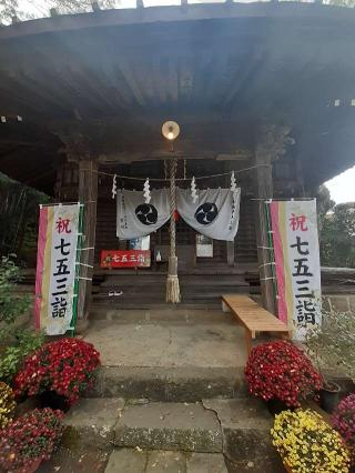 龍藏神社の参拝記録(三毛猫さん)