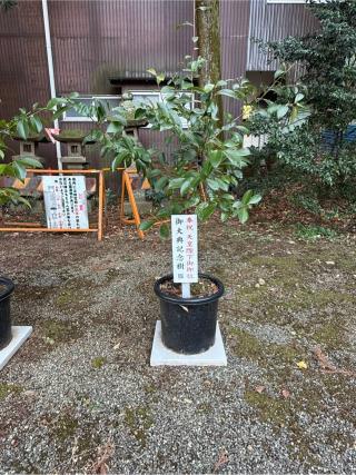 龍藏神社の参拝記録(skさん)