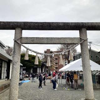 妻田神社の参拝記録(三毛猫さん)