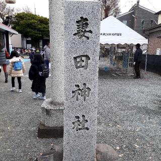 妻田神社の参拝記録(三毛猫さん)