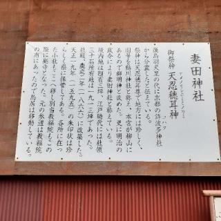 妻田神社の参拝記録(三毛猫さん)