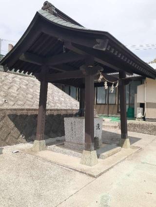 三嶋神社の参拝記録(三毛猫さん)