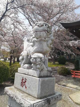 三嶋神社の参拝記録(三毛猫さん)