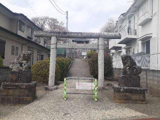 三嶋神社の参拝記録(三毛猫さん)