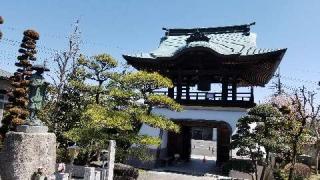 宝珠山 玉塔院 光明寺の参拝記録(さるさん)