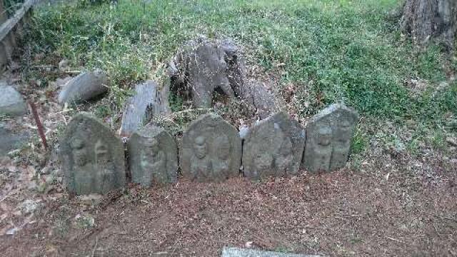 神奈川県厚木市小野４２８ 小野神社  (閑香明神社)の写真7