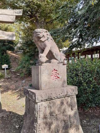 金田神社の参拝記録(三毛猫さん)