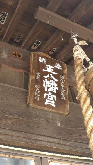 田中八幡宮の参拝記録(ステイさん)