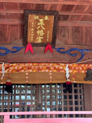 田中八幡宮の参拝記録(こーちんさん)