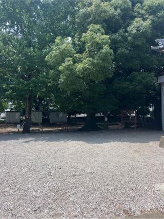 田中八幡宮の参拝記録(⛩️🐍🐢まめ🐢🐍⛩️さん)