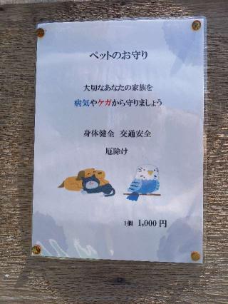 田中八幡宮の参拝記録(やおかみさん)