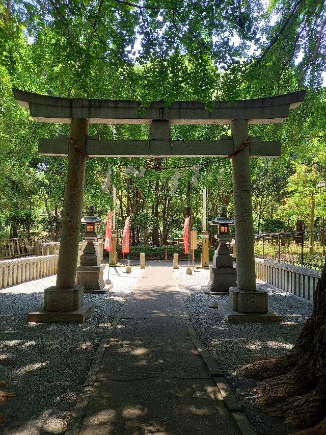 神奈川県大和市上草柳905 上草柳熊野神社の写真17