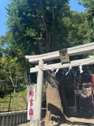 上草柳熊野神社の参拝記録(マ　ノ　さん)