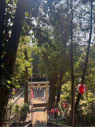 上草柳熊野神社の参拝記録(マ　ノ　さん)