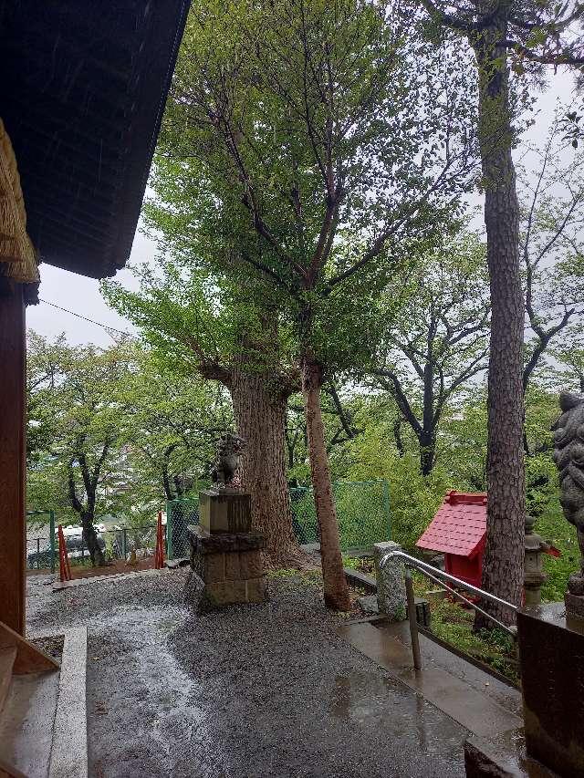 神奈川県大和市福田8ｰ8ｰ6 福田神社の写真13