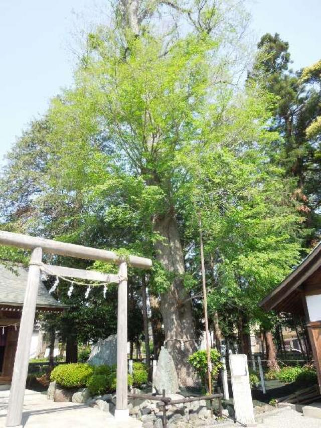 神奈川県大和市深見3367 深見神社の写真2