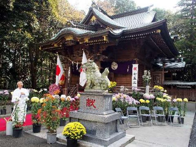 神奈川県大和市下鶴間2540 諏訪神社（相州下鶴間）の写真1