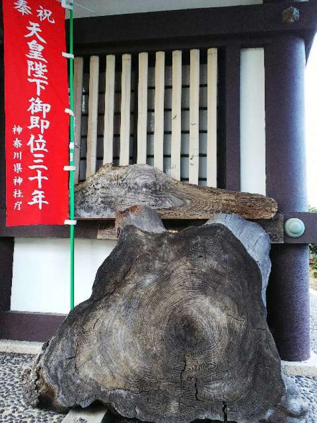 神奈川県大和市下鶴間391 浅間神社の写真5