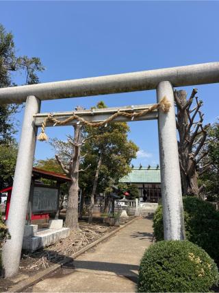 浅間神社の参拝記録(⛩️🎠🐢まめ🐢🎠⛩️さん)