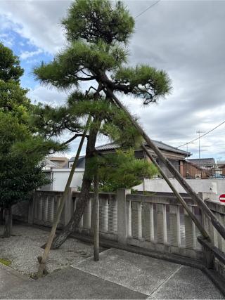 春日神社の参拝記録(⛩️🐍🐢まめ🐢🐍⛩️さん)